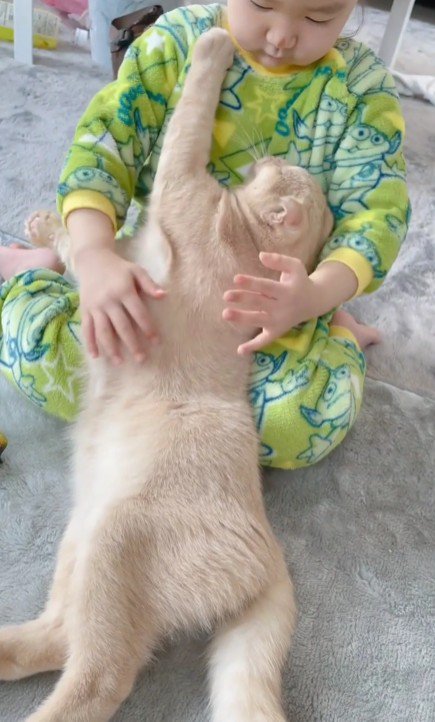 猫を抱きしめる女の子