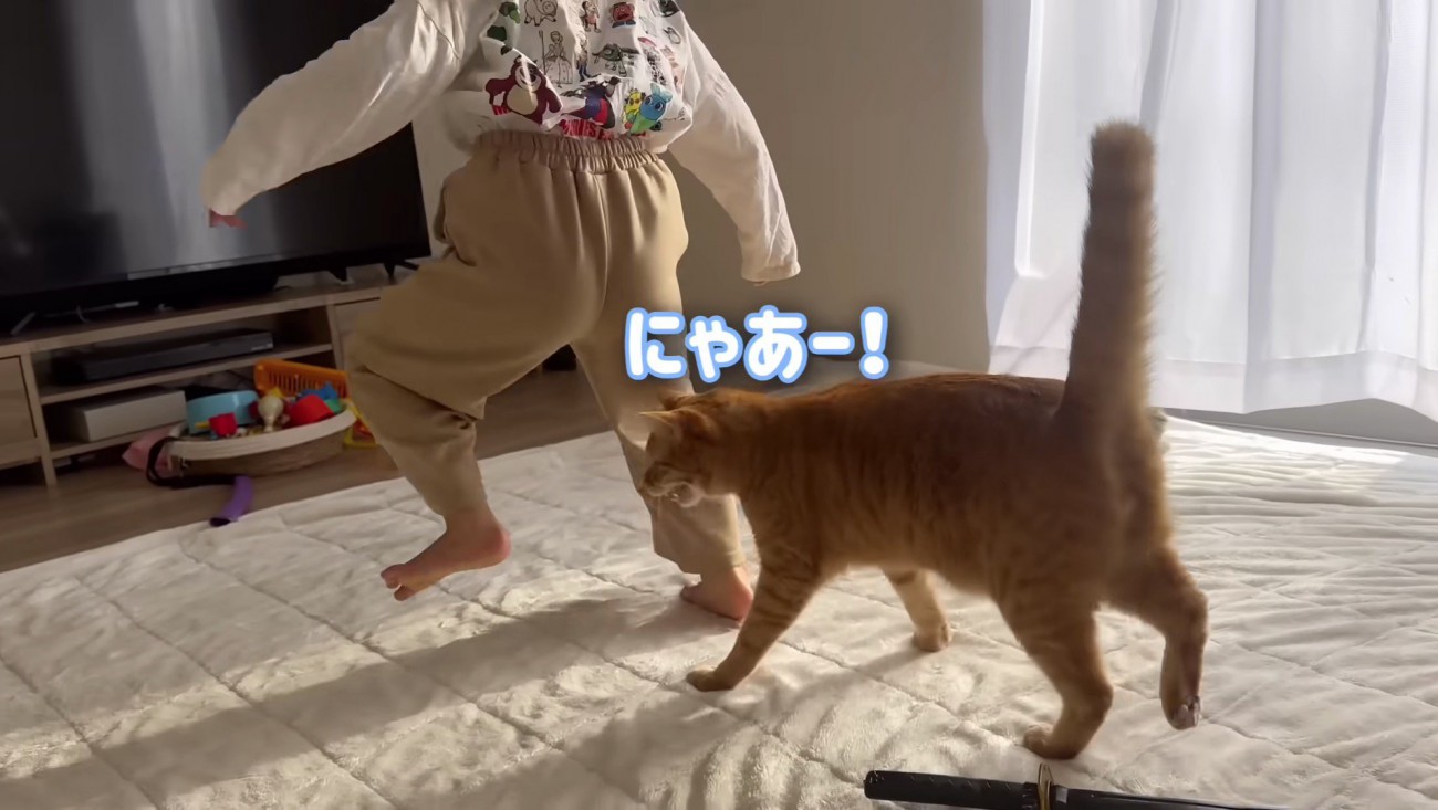 従順なとらまる