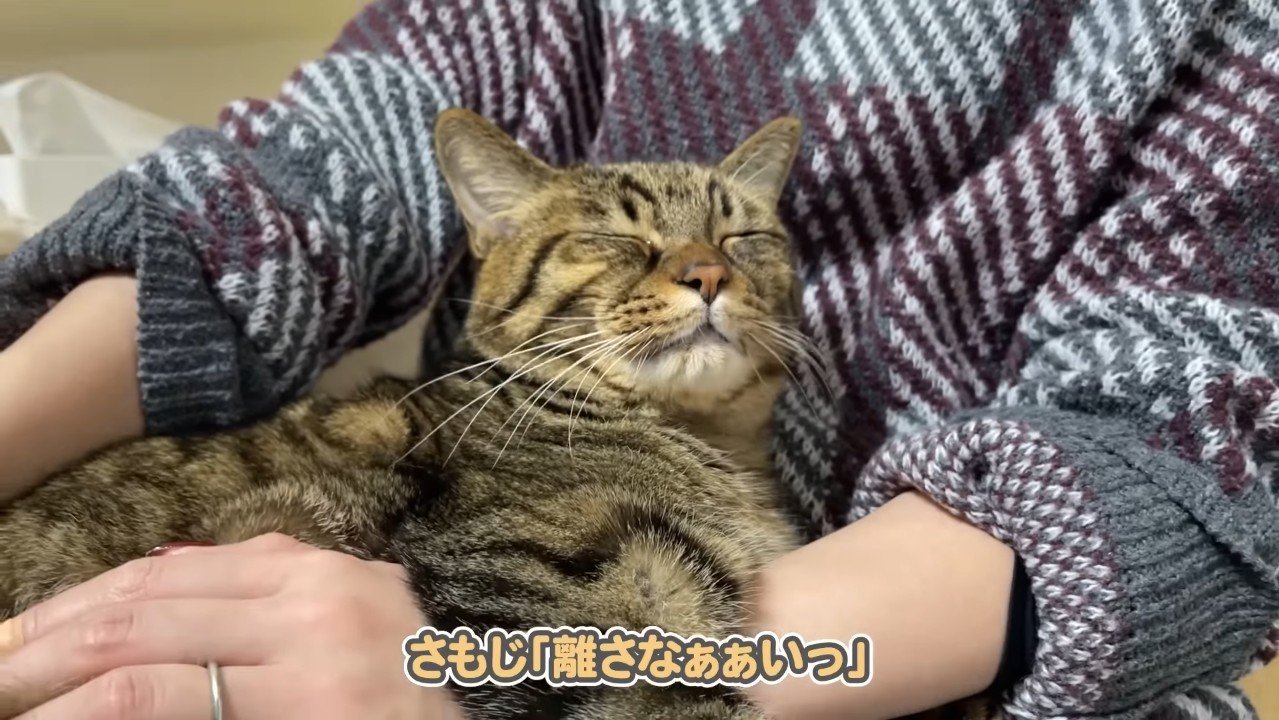 離さなぁぁいっ