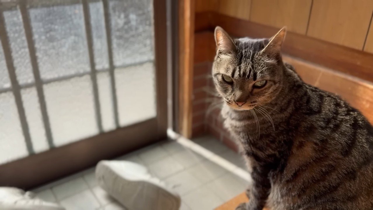 こちらを見る空くん