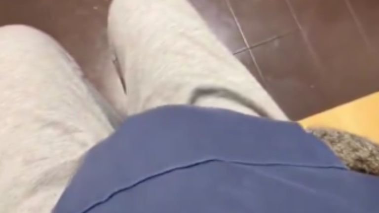 ポケットに入る猫