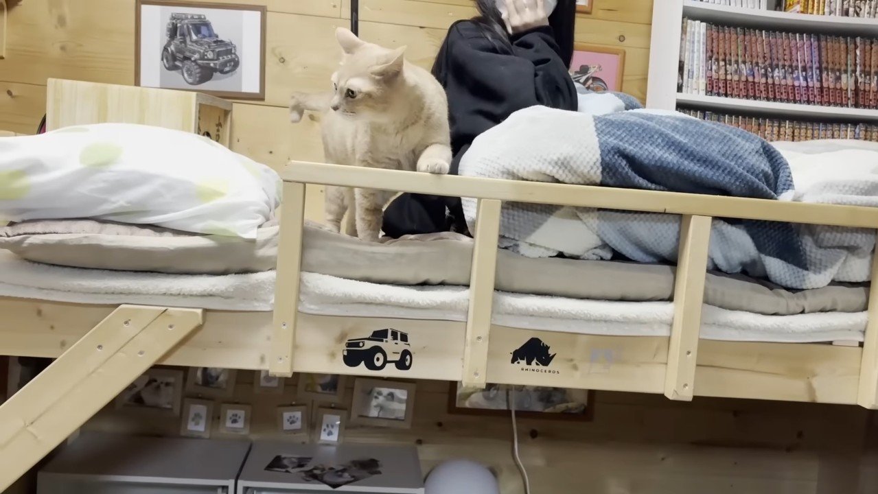 左前足をかけるひのきちゃん