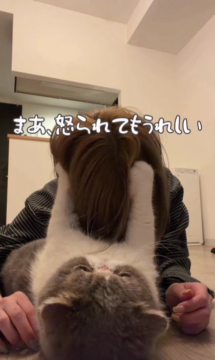 飼い主の頭をつかむ猫
