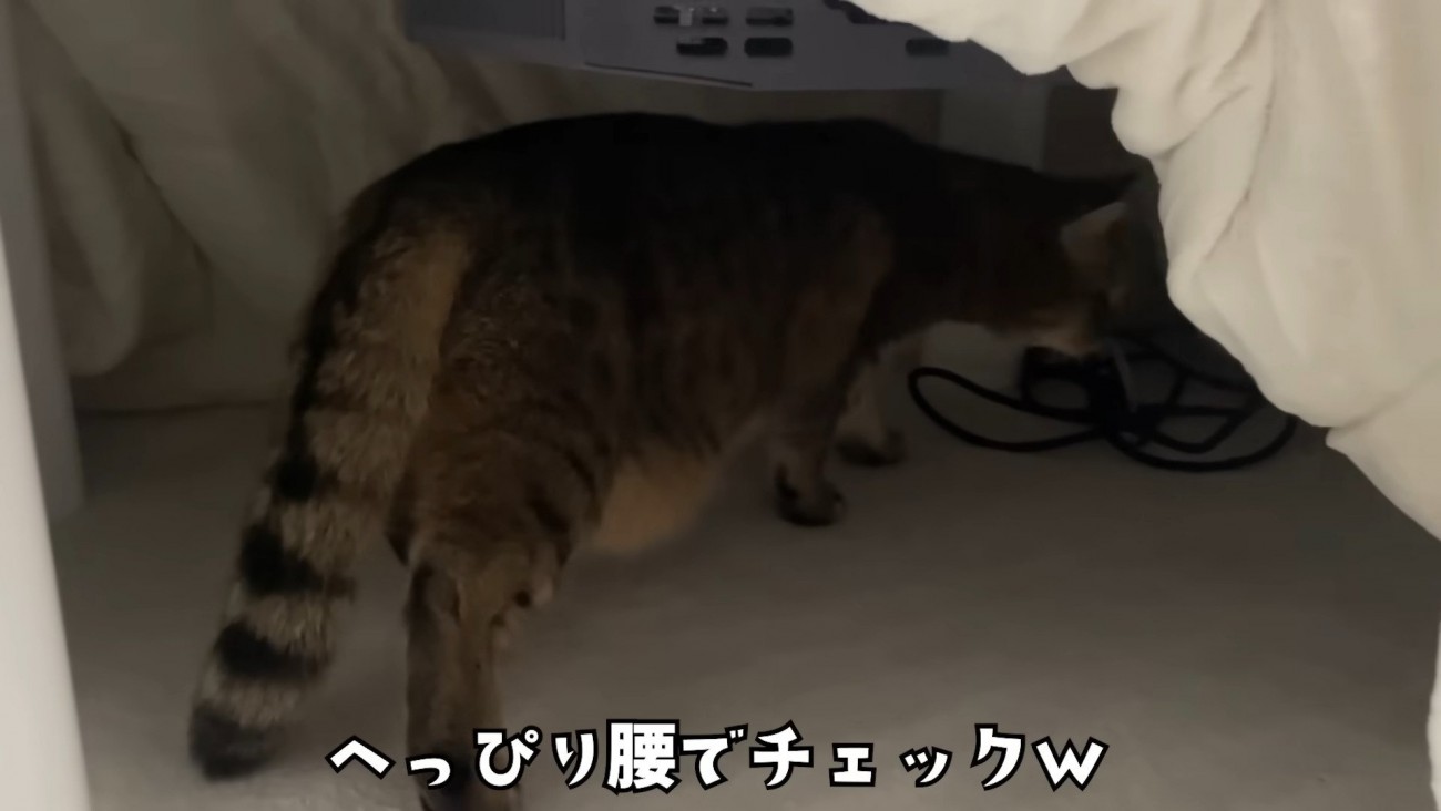 ヘッピリ腰のみにらくん