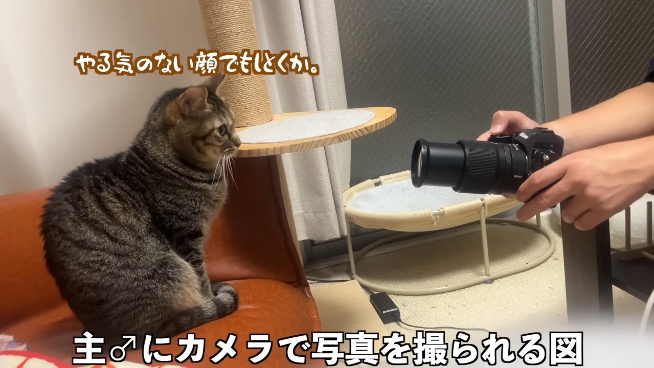 写真を撮られる図