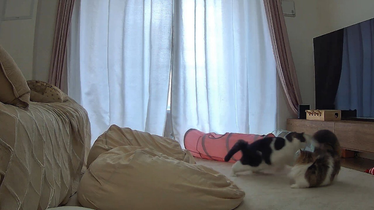 向き合うふたり