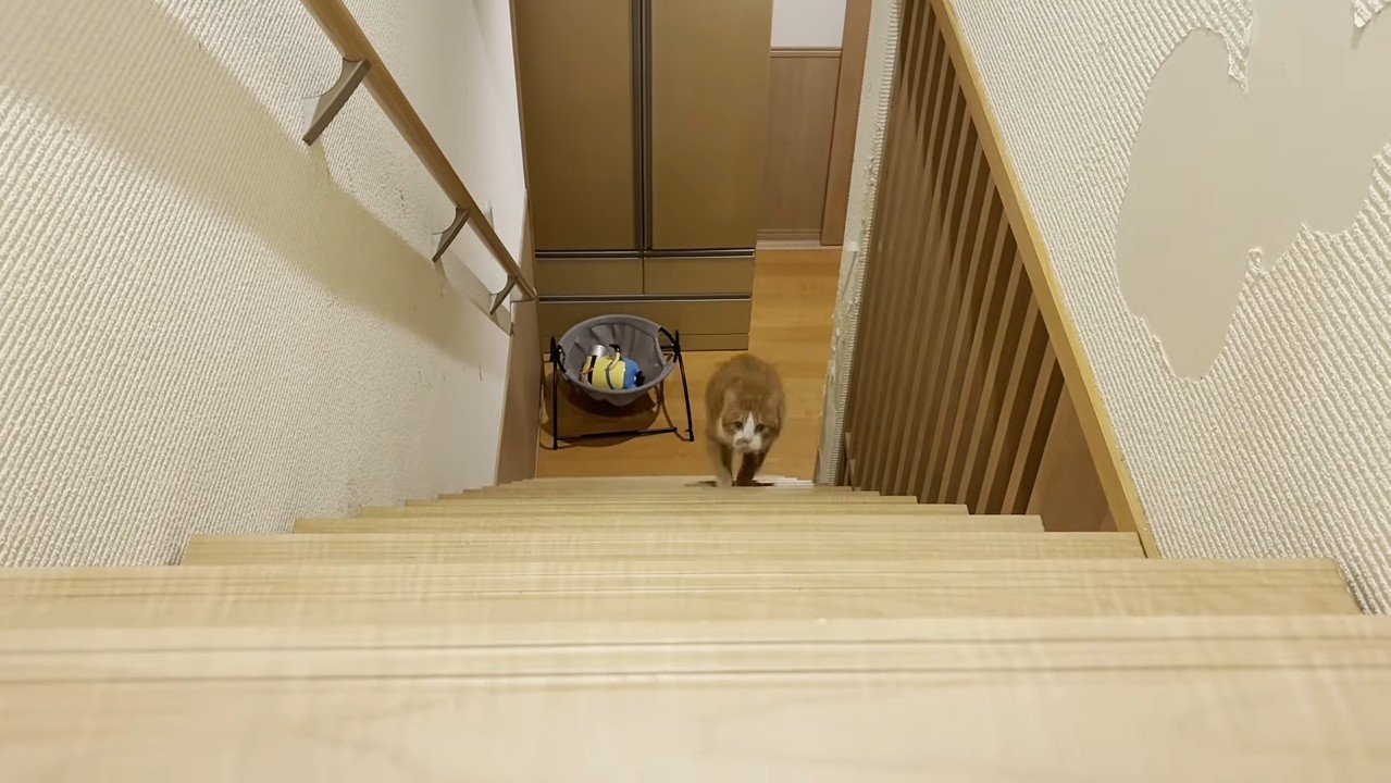 登り始め