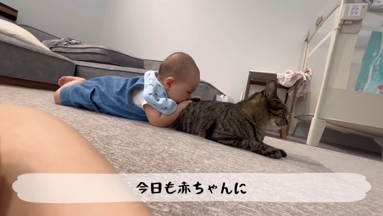 猫吸い