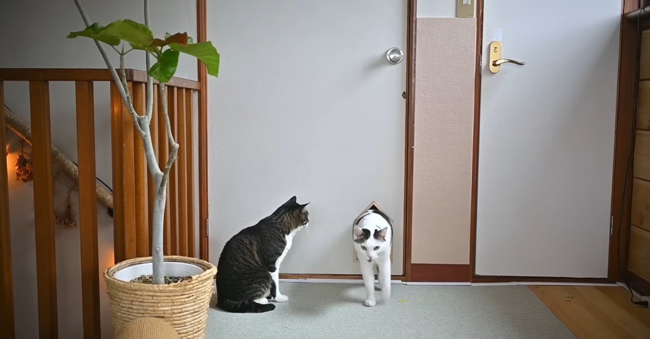 小窓をくぐって