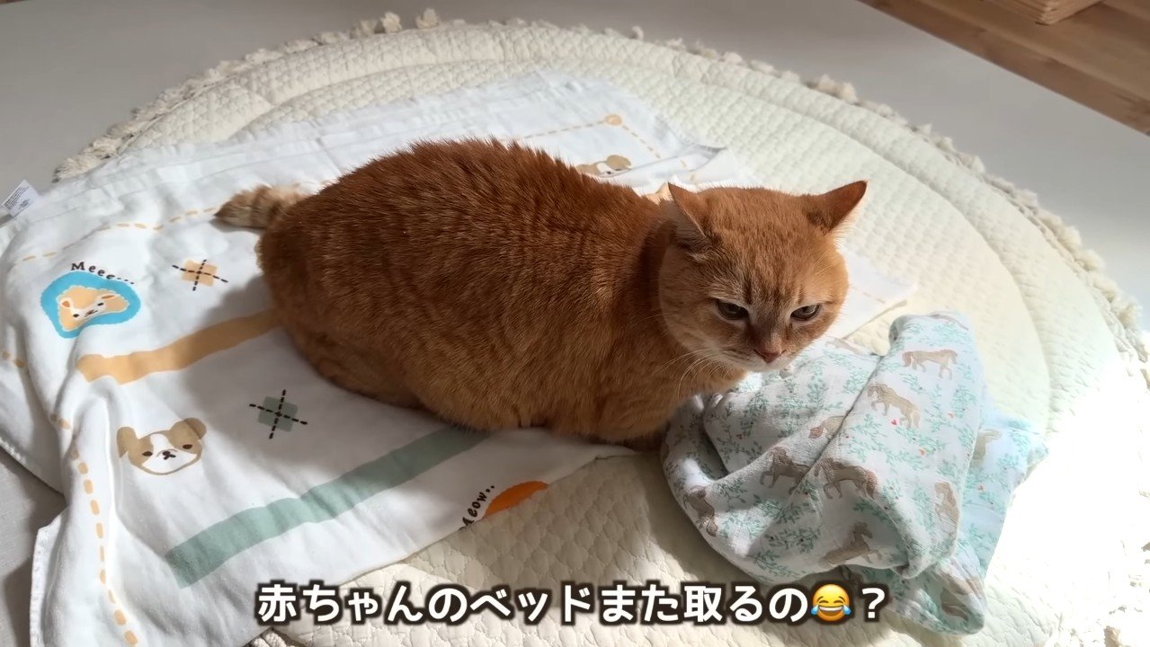また取るの？