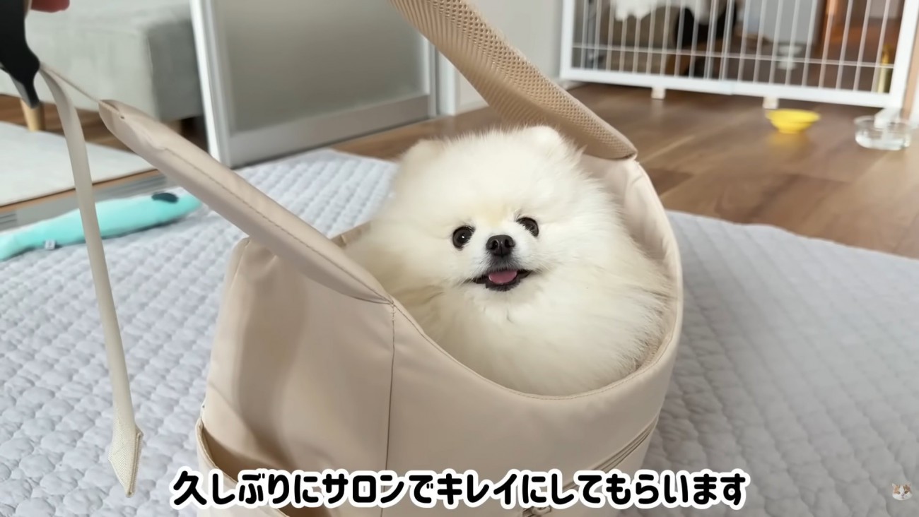 テロップ「久しぶりに～」