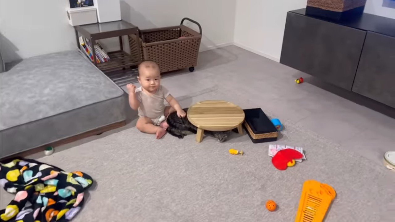 隠れるももまるちゃん