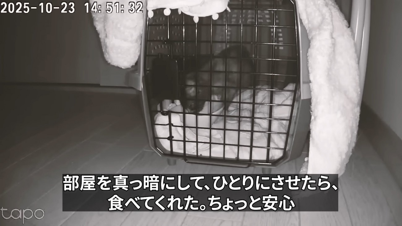 暗い部屋に置かれたキャリー