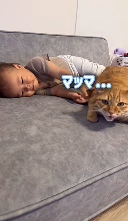 赤ちゃんと一緒に寝ている猫
