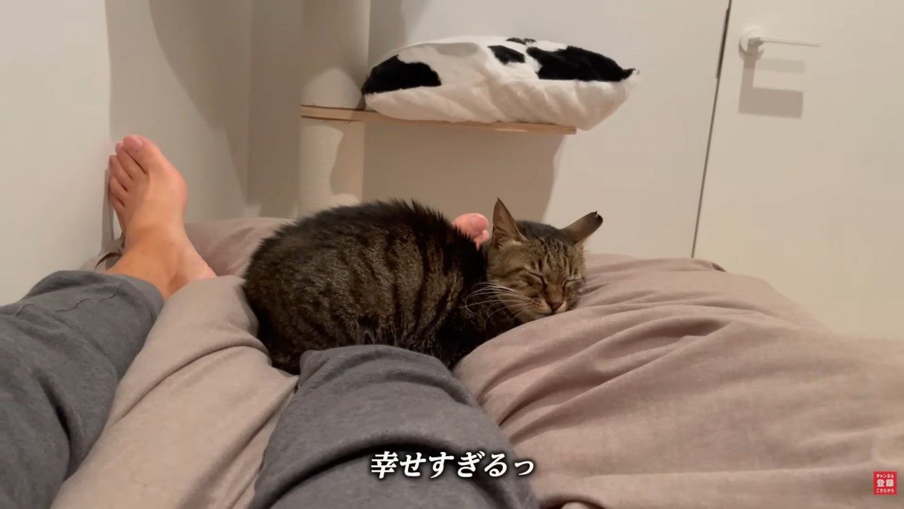 テロップ「幸せすぎる」