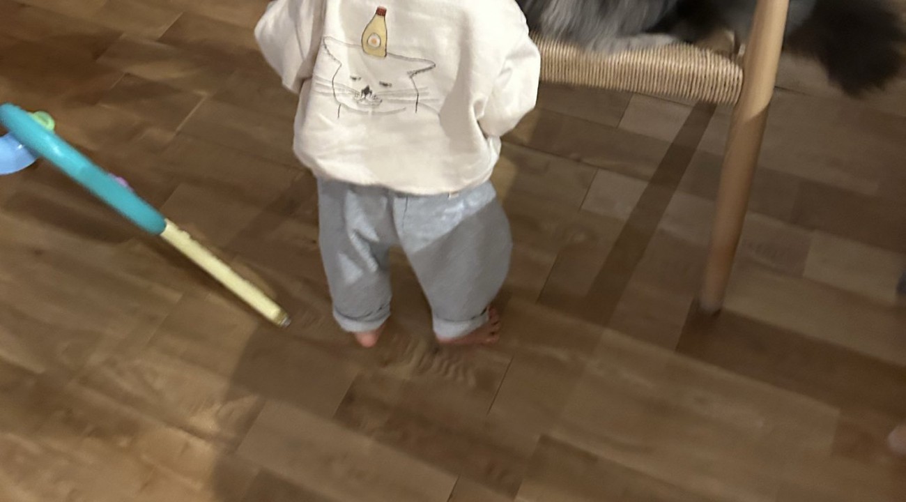 猫に近づく赤ちゃん