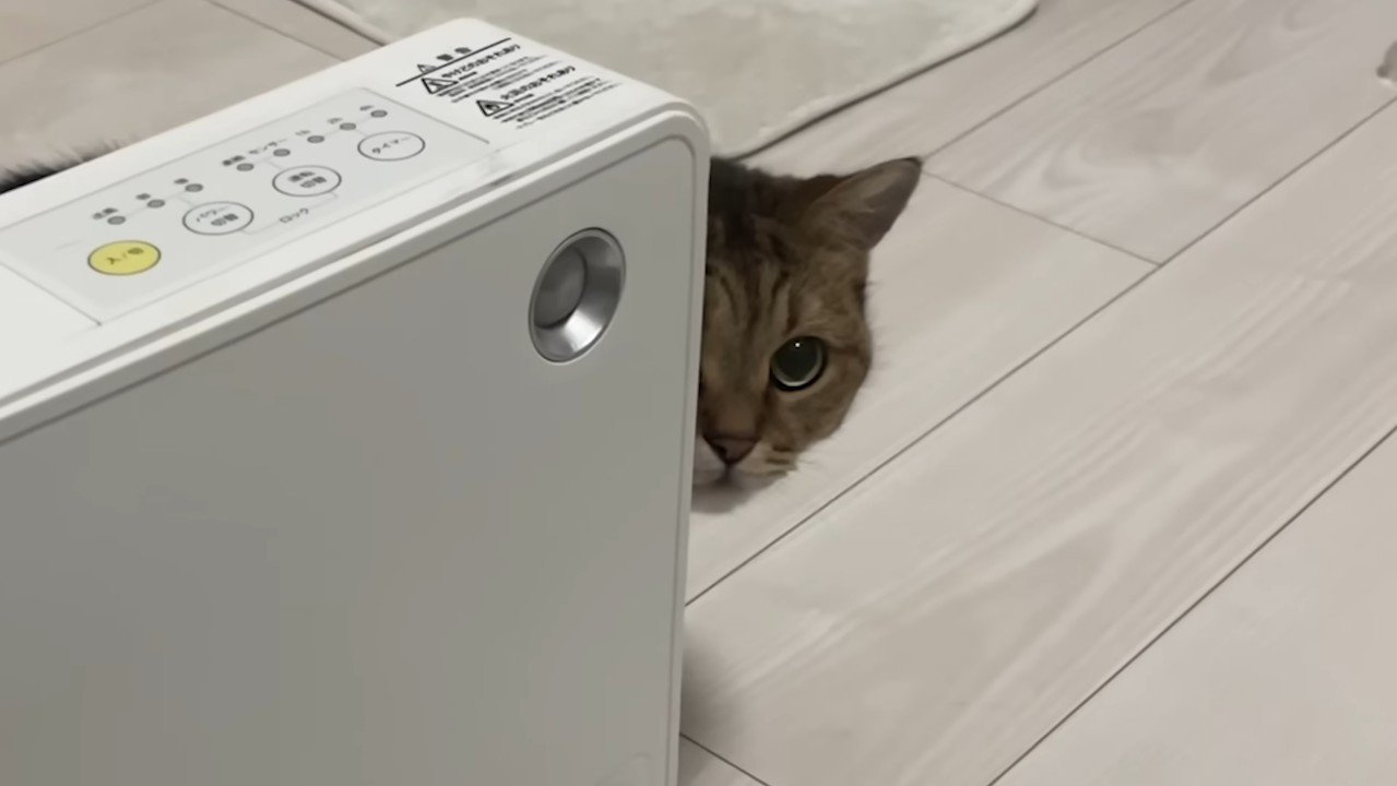 ヒーターの陰から