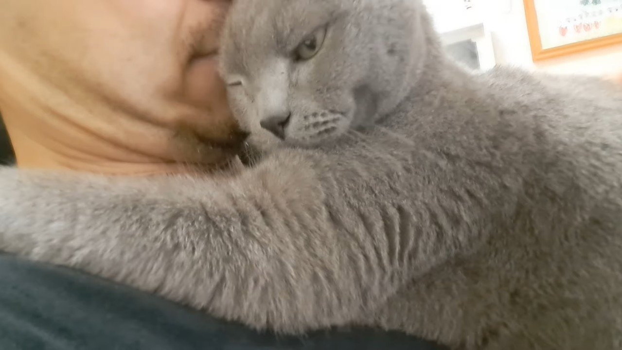 片目を閉じた顔