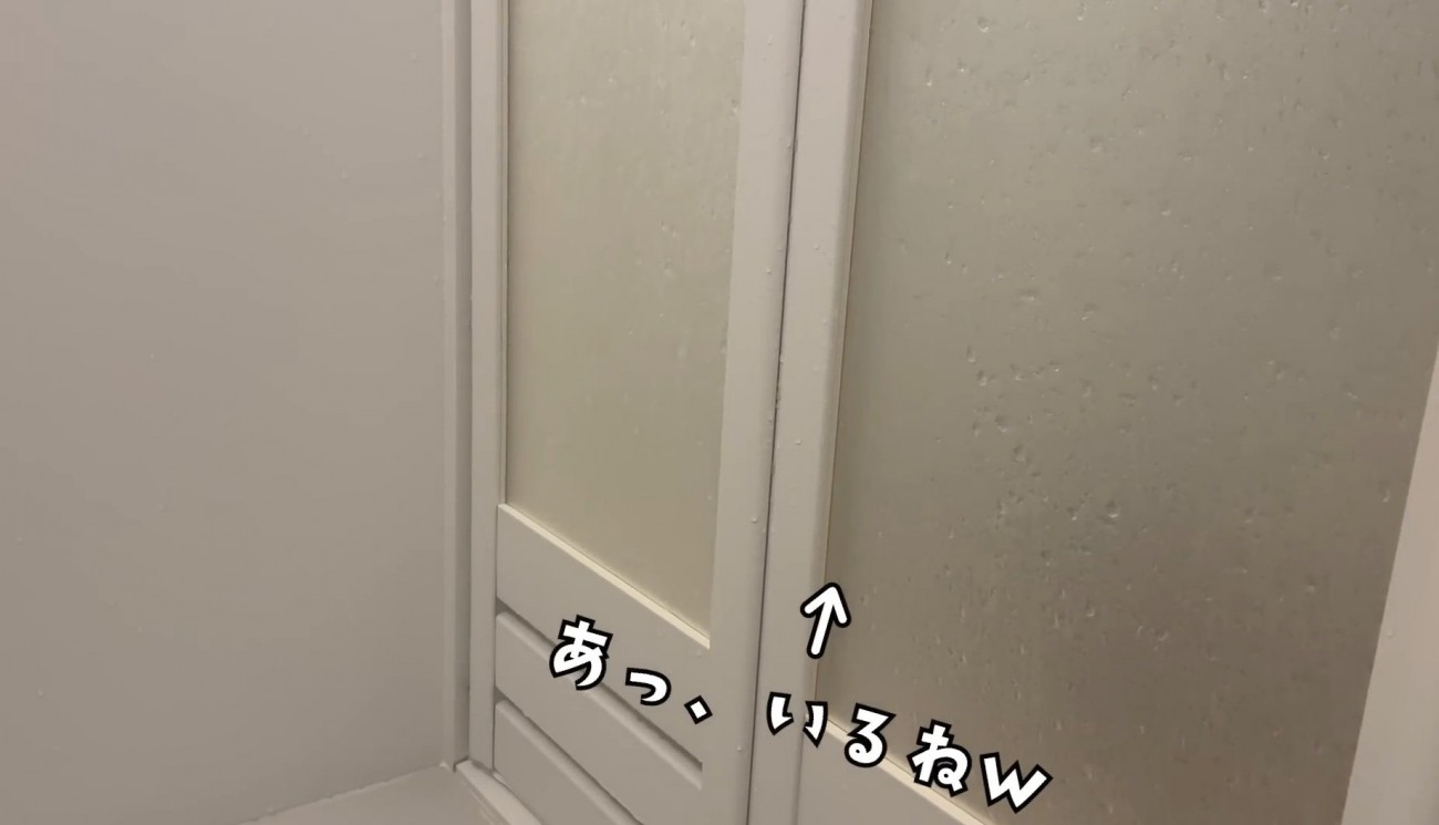 風呂の外にいる猫
