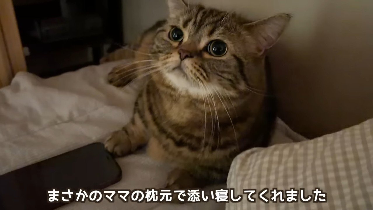 まさかのママの枕元で