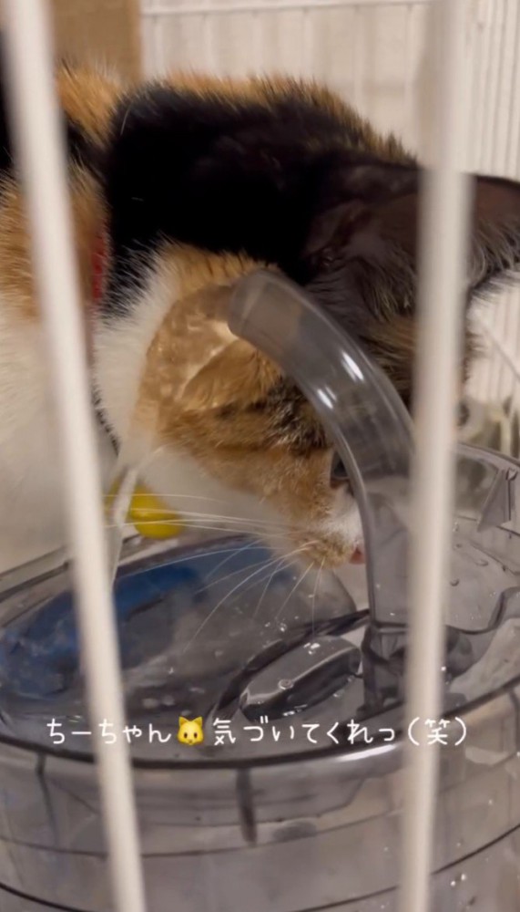 「気づいてくれ」と書かれている