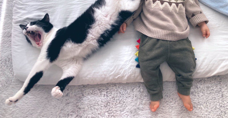 布団の上に寝そべる猫と赤ちゃん