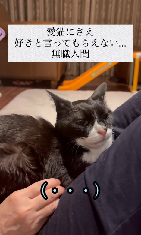 人の上に乗っている猫と「（・・・）」の字幕