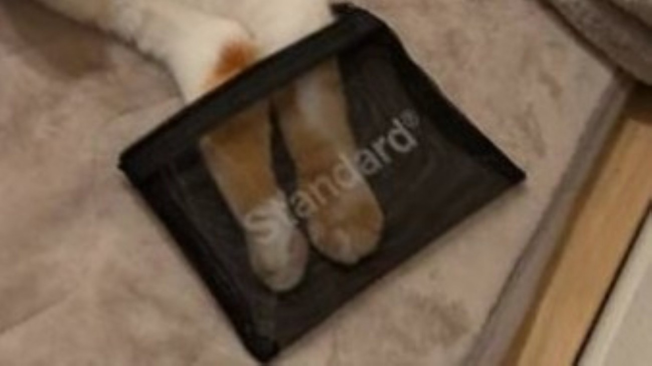 メッシュポーチに入った猫の手