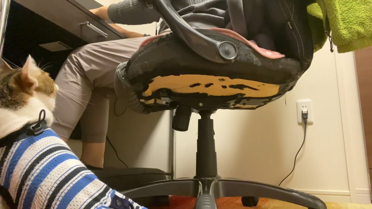 イスのそばにいる猫