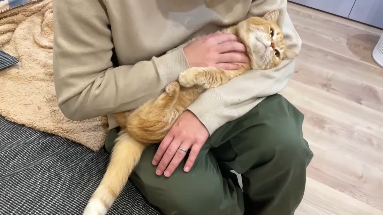 仰向けのプリンくん