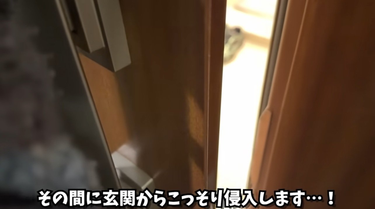 玄関から入る飼い主