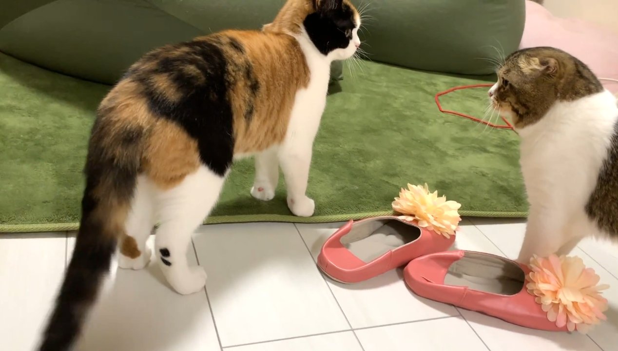 向き合うふたり