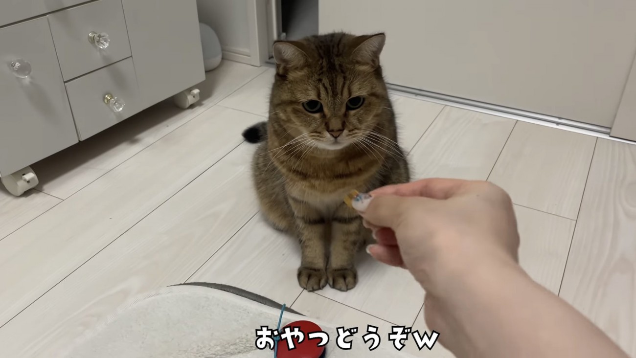 「おやつどうぞｗ」のテロップ写真