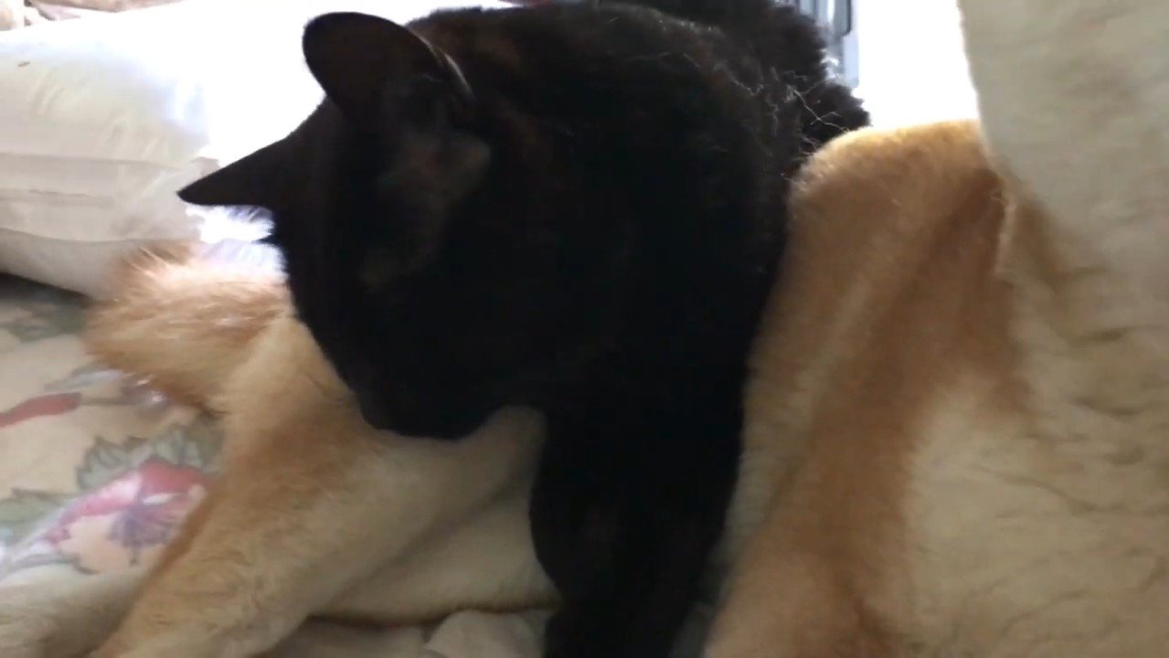 眠る天くんのアップ
