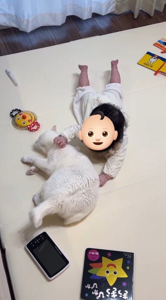 隣に横になっている猫を撫でる赤ちゃん