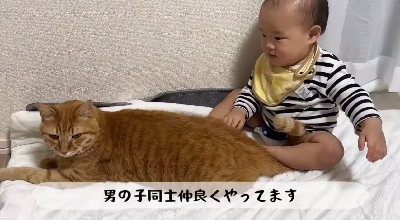 赤ちゃんとそばで寝ている猫