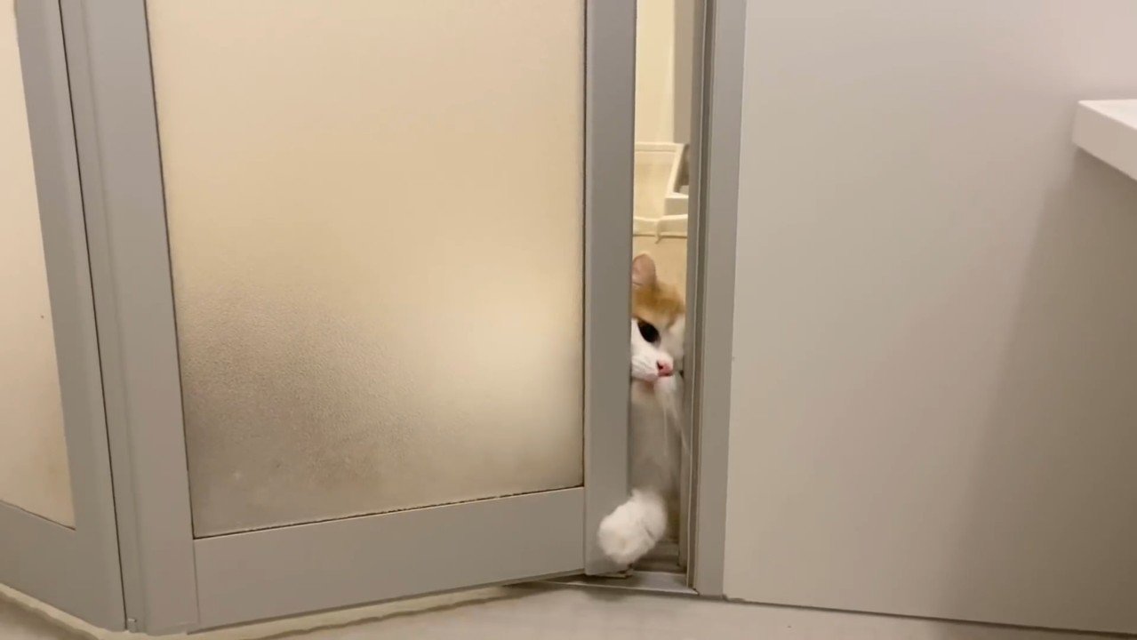 顔を入れようと