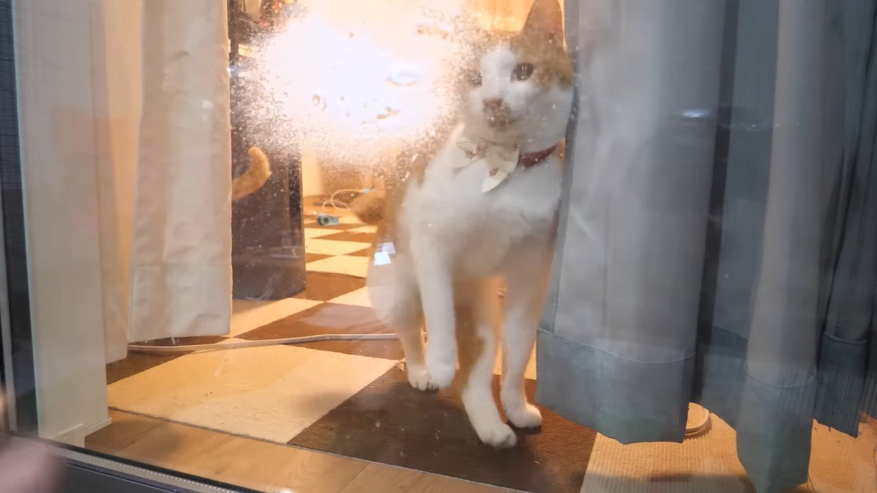 片足を上げるチップくん