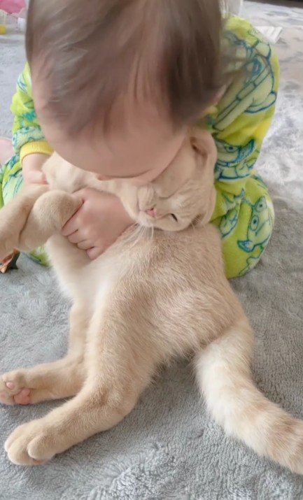 猫を抱きしめる女の子