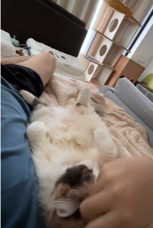 寝転んでいる人と猫