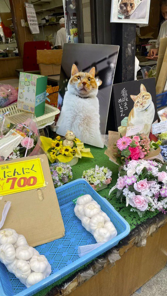 台の上に並べられたいくつもの花束