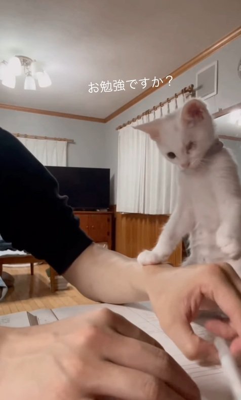 気になる