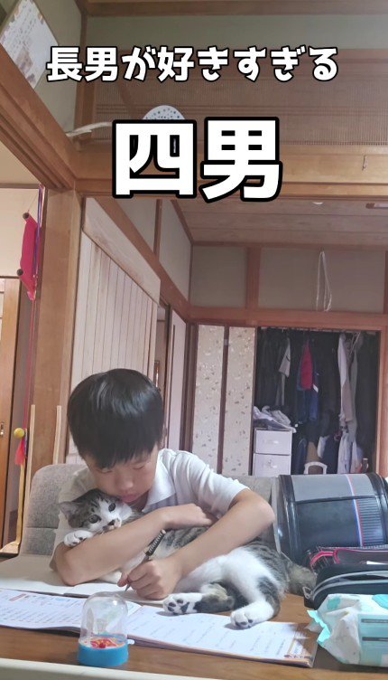 宿題をしている男の子と猫