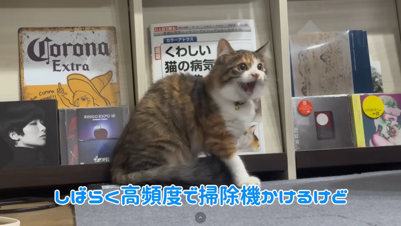 テロップ「しばらく高頻度で～」