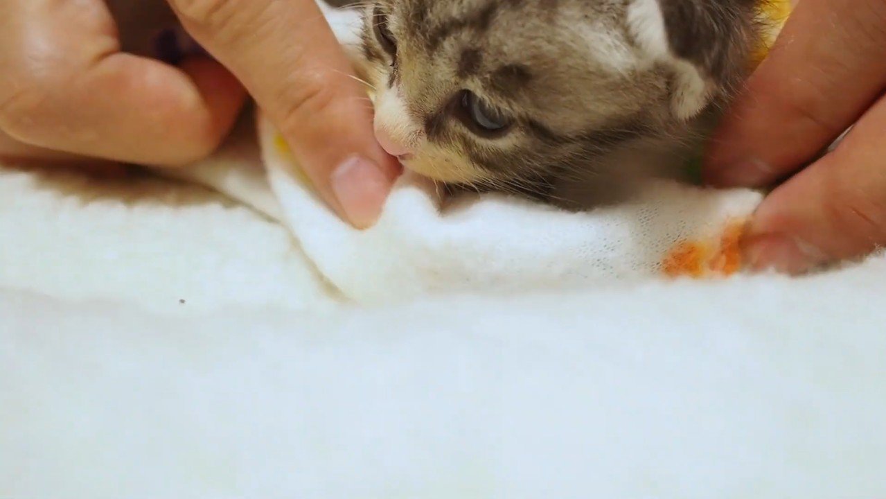 毛布で包み中