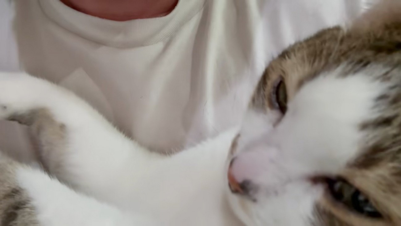 満足そうなコトくん