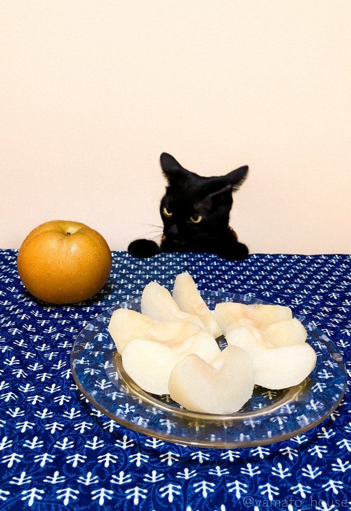 黒猫と梨