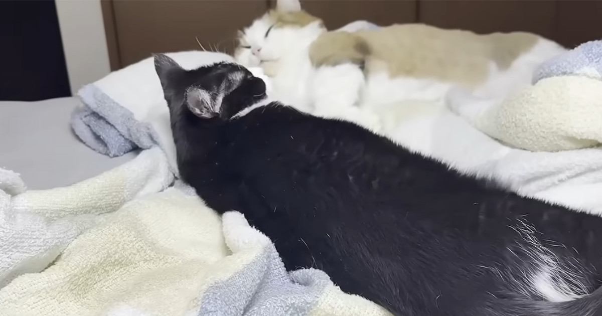 手をつないだ姿