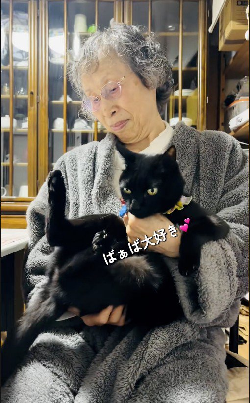 人に抱かれている猫