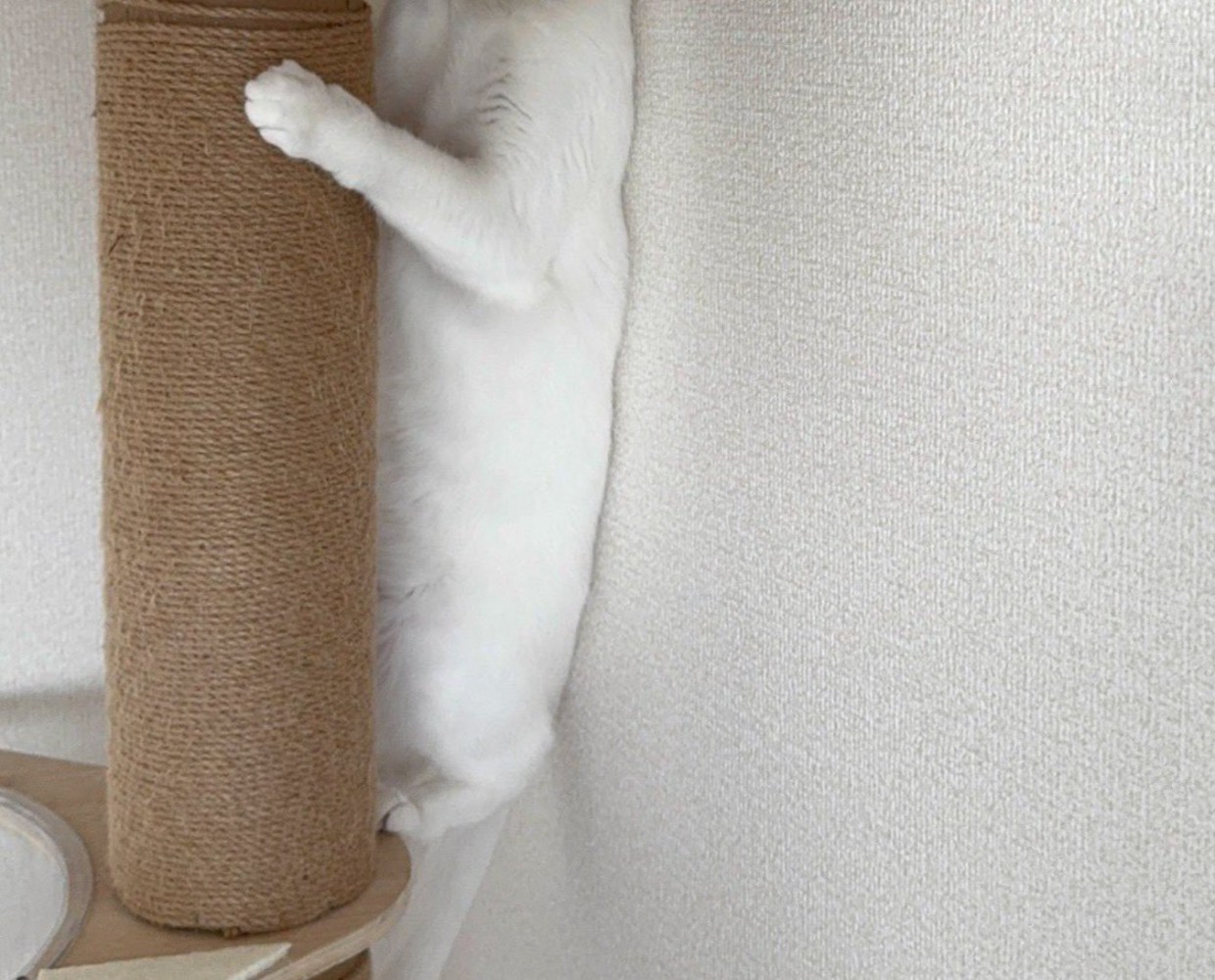 体は丸見え